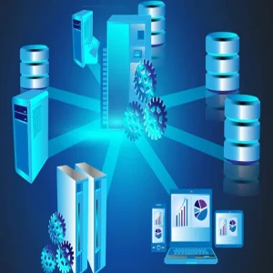 About Database Management System (DBMS)