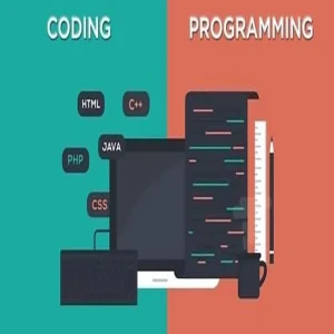 Differences Between Coding And Programming