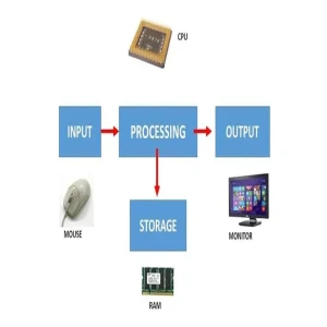 Computers For Beginner